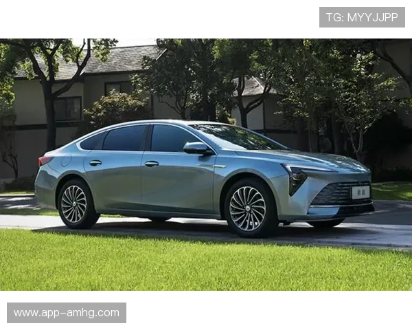 皇冠官方旗舰店价格行情分析，2023年最新价格走势全方位解读