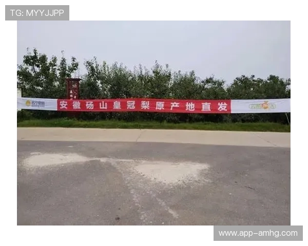 皇冠登陆中国积极响应国家政策,推动行业规范化发展 皇冠登陆中国积极响应国家政策,推动行业规范化发展